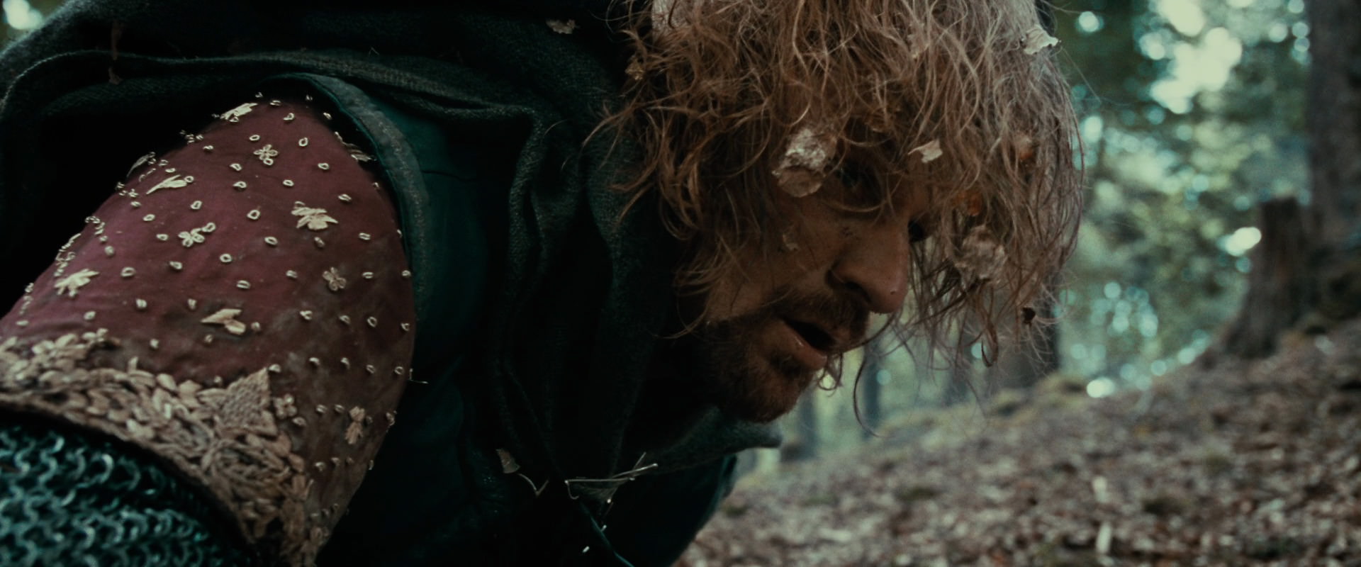 The Lord of the Rings: The Fellowship of the Ring (2001) movie still 21562