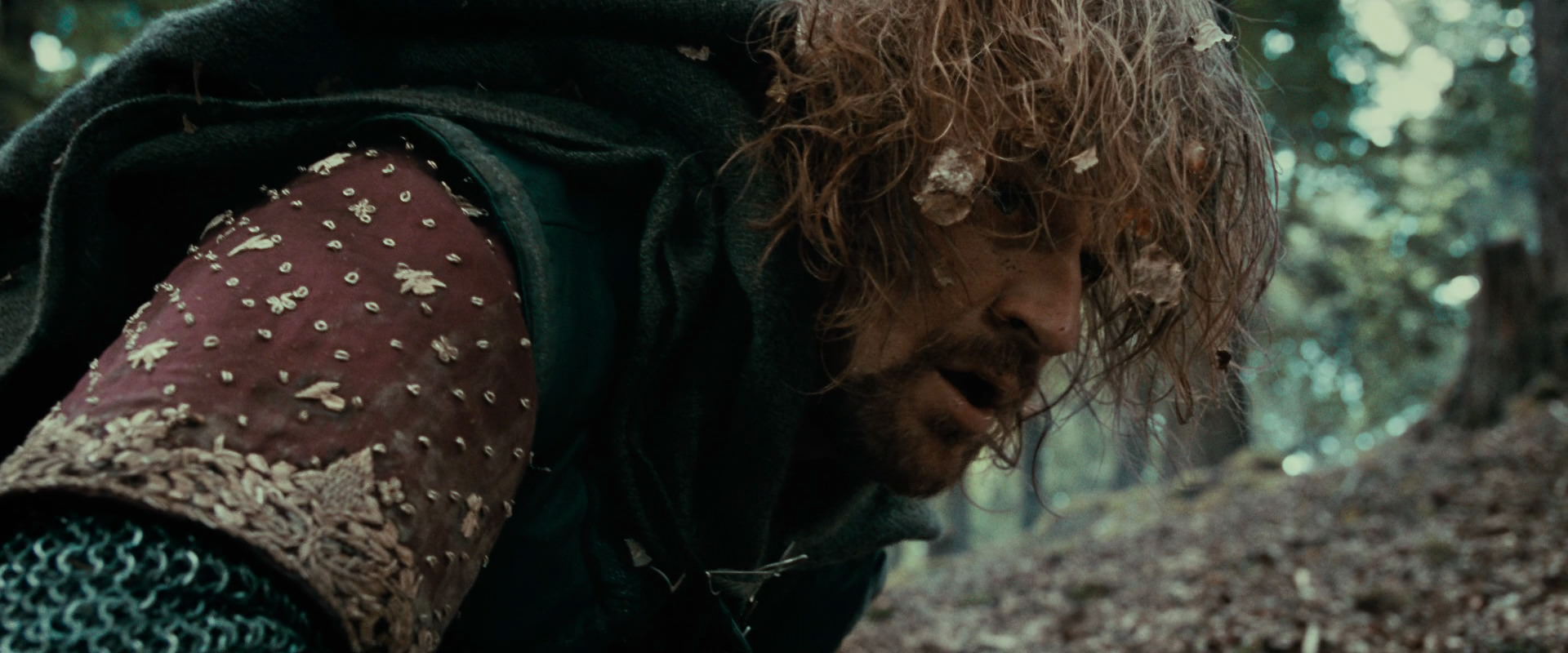The Lord of the Rings: The Fellowship of the Ring (2001) HD screenshot 21563