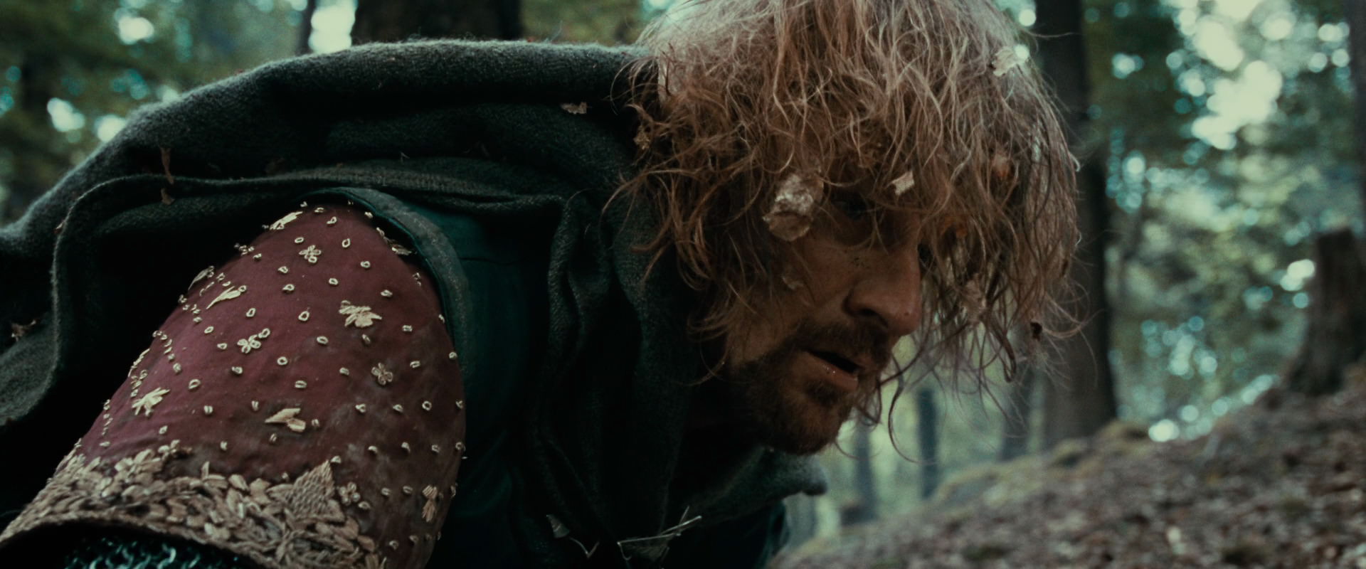 The Lord of the Rings: The Fellowship of the Ring (2001) HD screenshot 21566