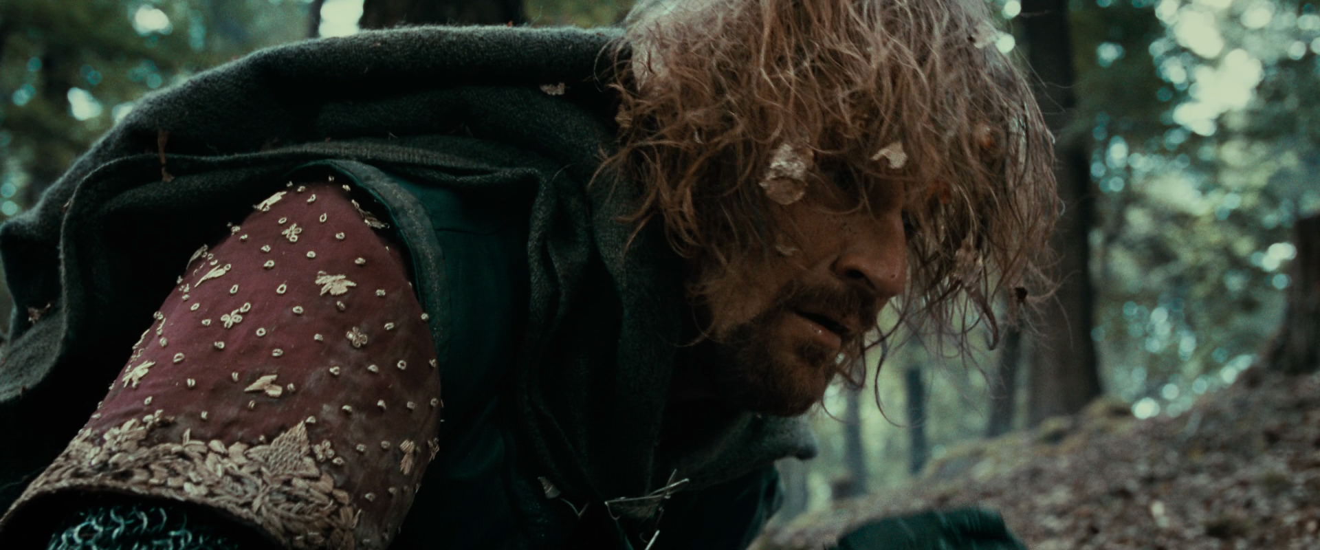 The Lord of the Rings: The Fellowship of the Ring (2001) screencap 21567