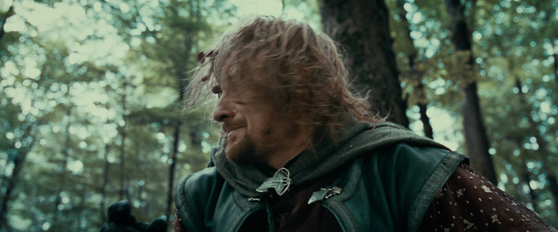 The Lord of the Rings: The Fellowship of the Ring (2001) HD screenshot 21587