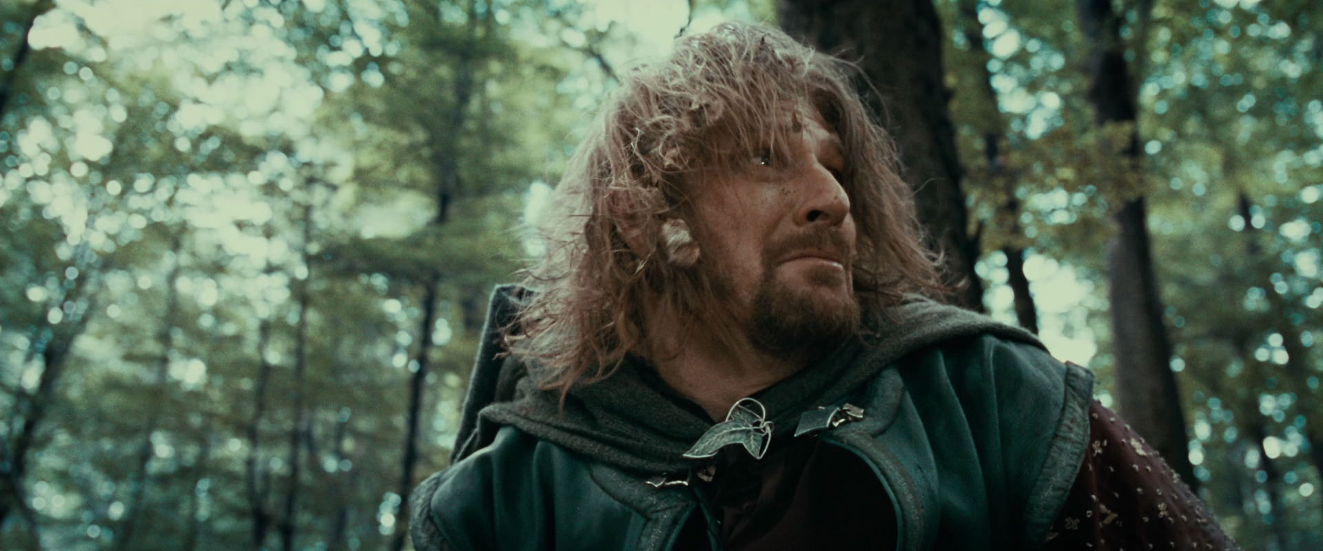 The Lord of the Rings: The Fellowship of the Ring (2001) movie still 21589