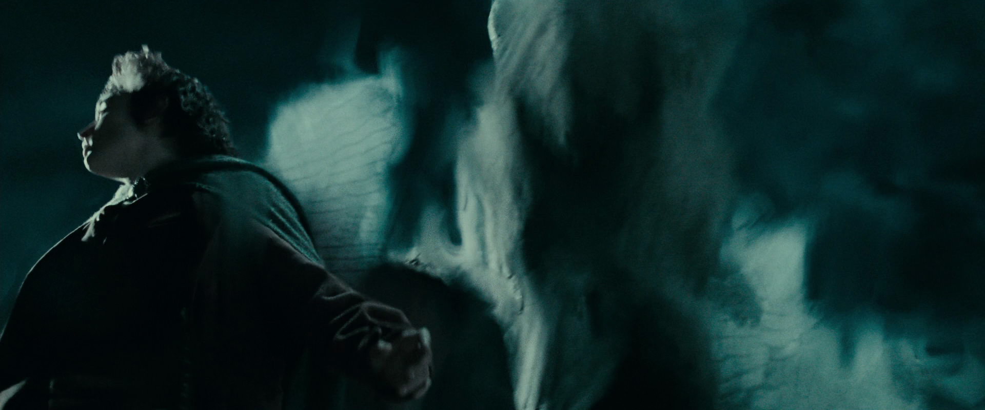 The Lord of the Rings: The Fellowship of the Ring (2001) movie still 21604