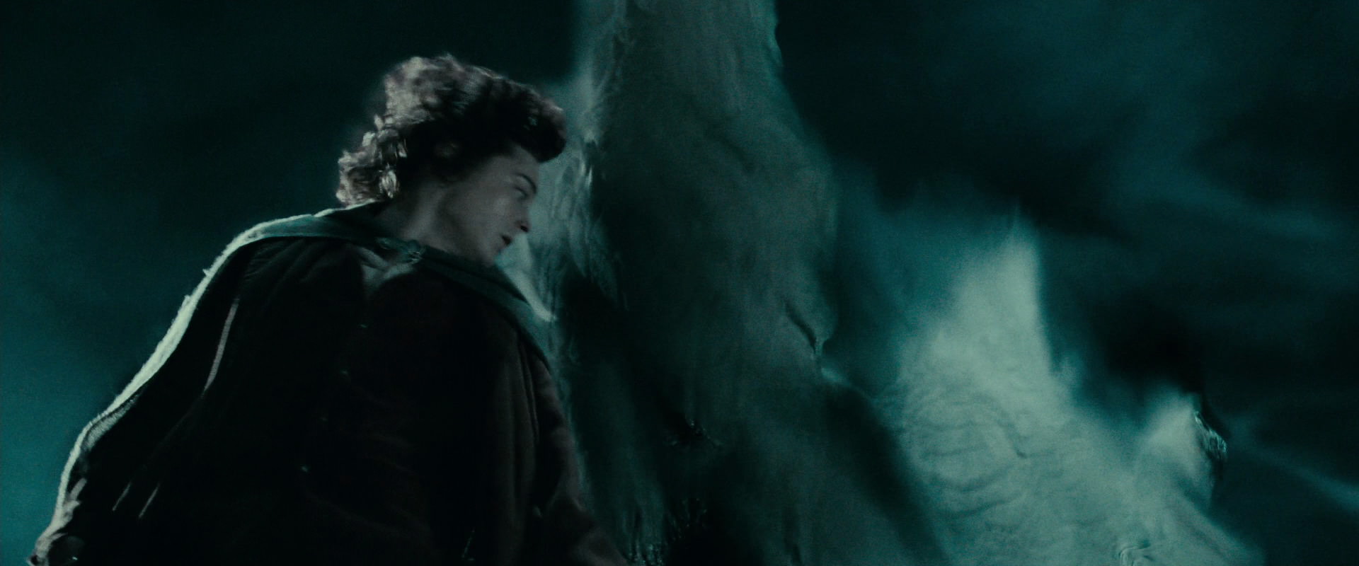 The Lord of the Rings: The Fellowship of the Ring (2001) screencap 21606