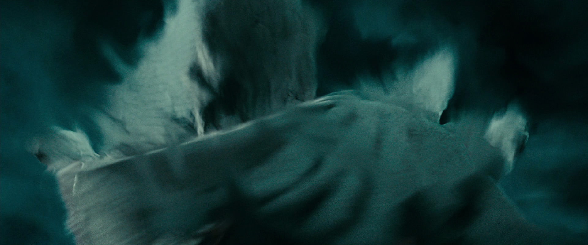 The Lord of the Rings: The Fellowship of the Ring (2001) screencap 21609