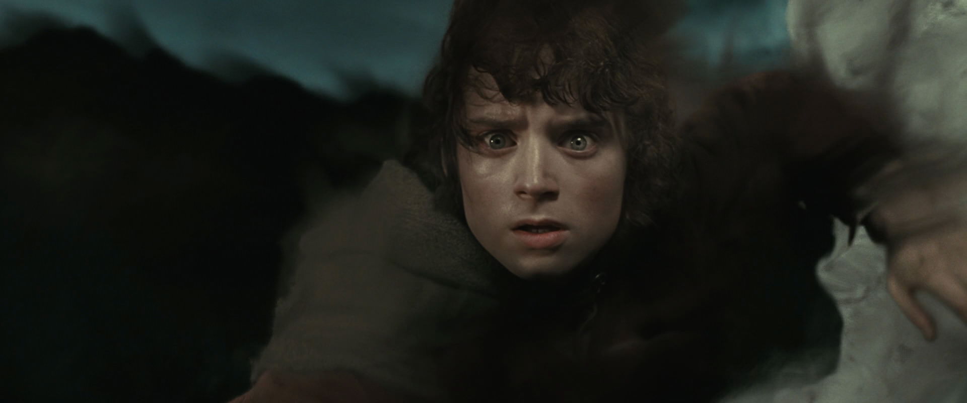 The Lord of the Rings: The Fellowship of the Ring (2001) screencap 21660