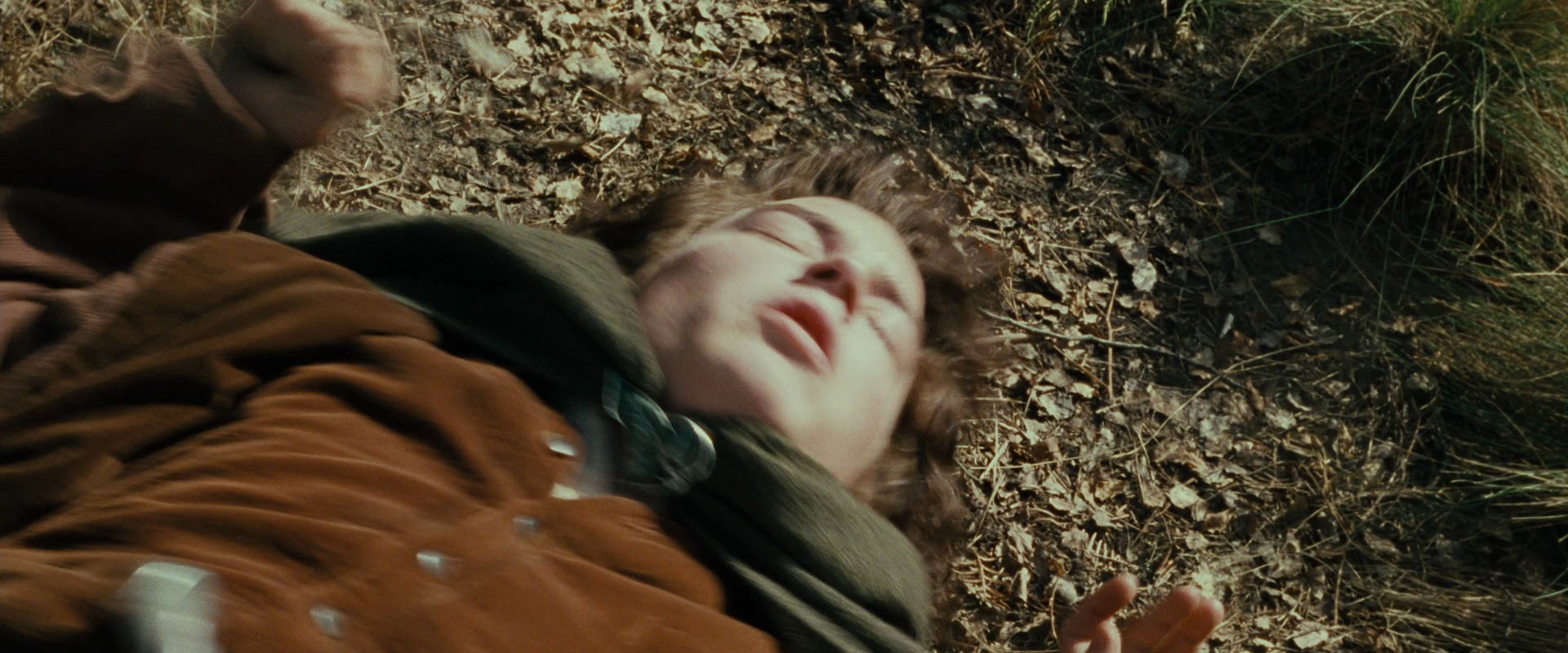 The Lord of the Rings: The Fellowship of the Ring (2001) HD screenshot 21668