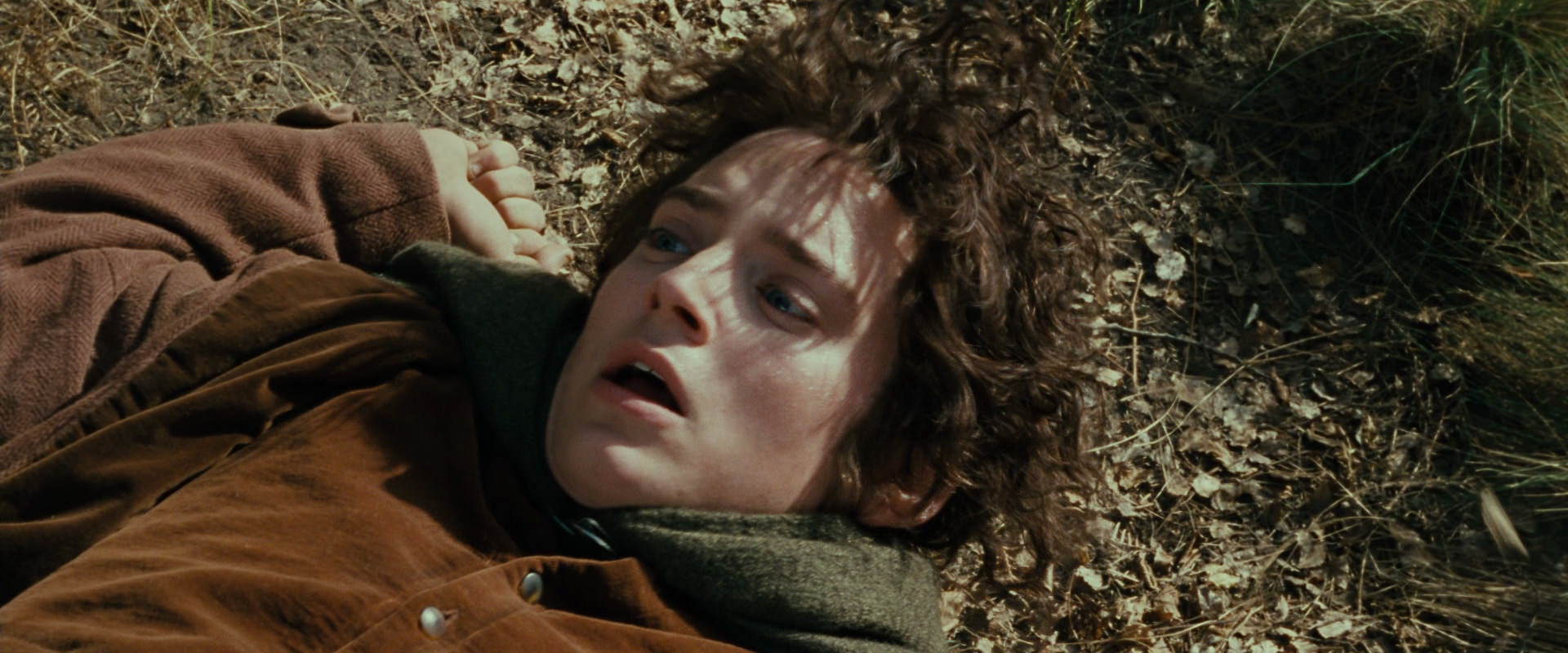 The Lord of the Rings: The Fellowship of the Ring (2001) screencap 21669