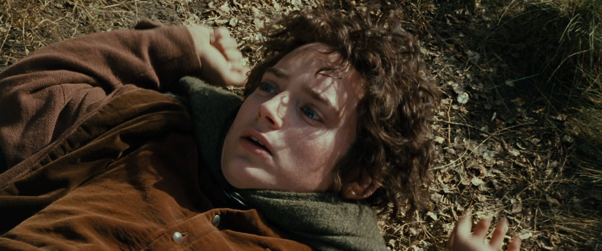 The Lord of the Rings: The Fellowship of the Ring (2001) movie still 21670