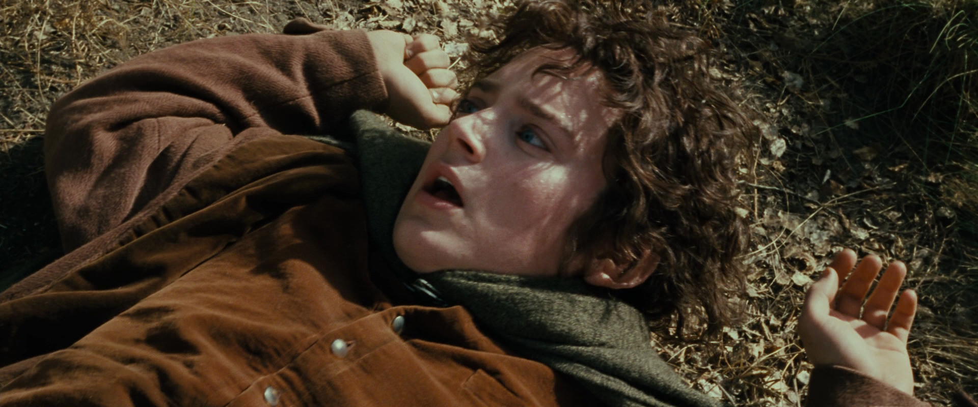 The Lord of the Rings: The Fellowship of the Ring (2001) HD screenshot 21671