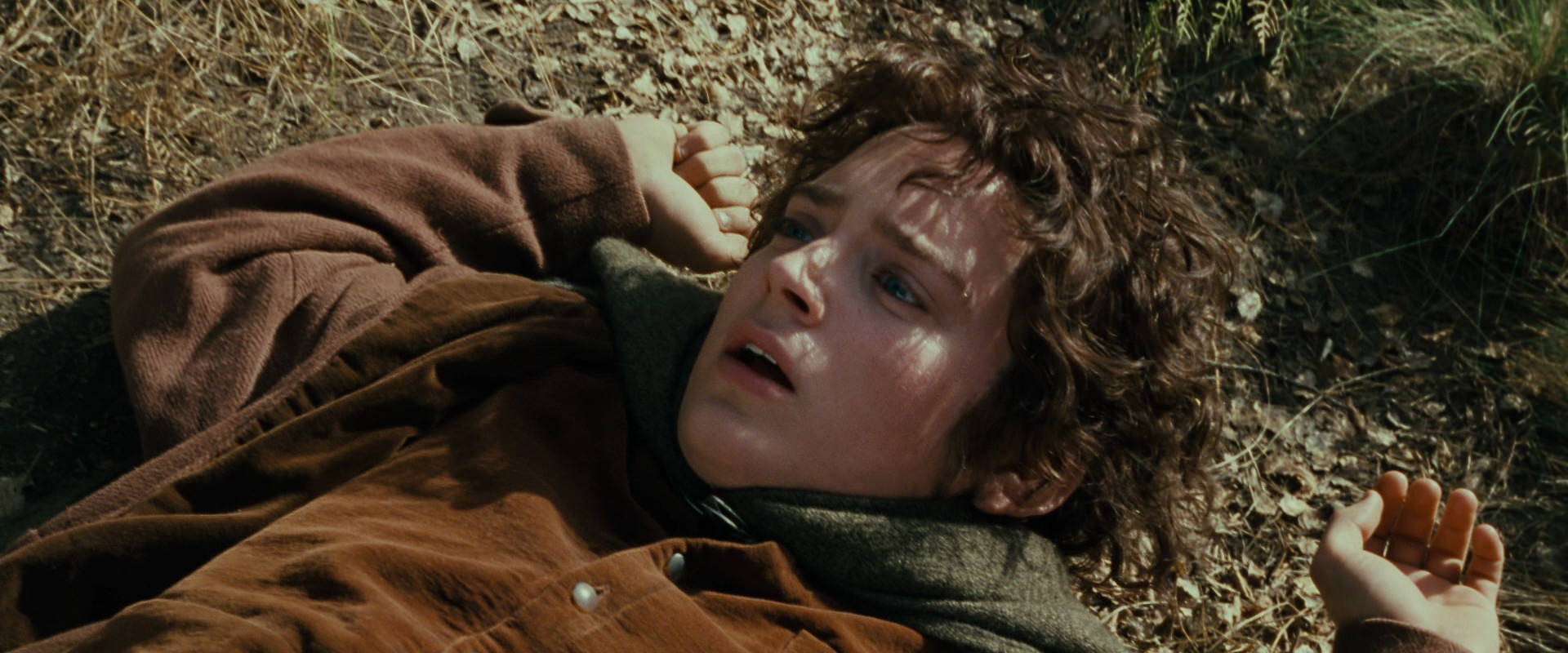The Lord of the Rings: The Fellowship of the Ring (2001) screencap 21672