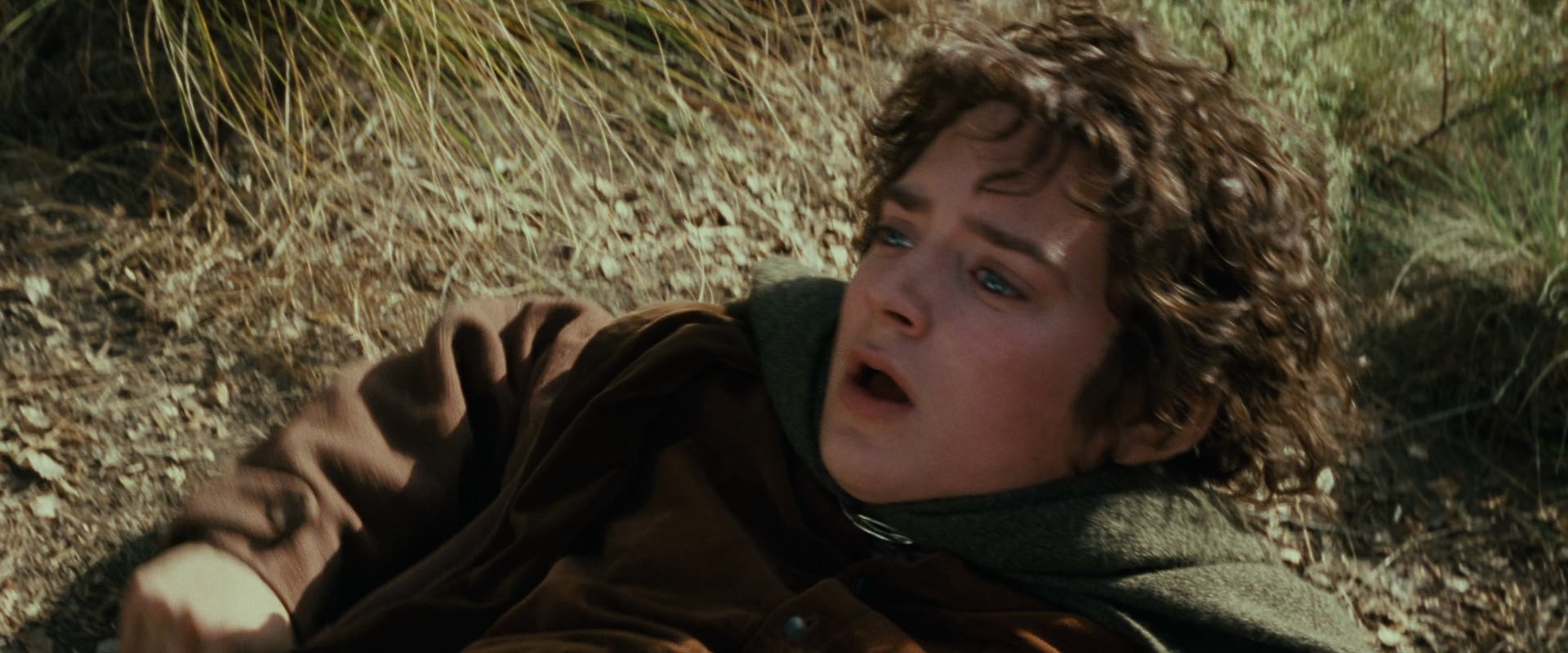 The Lord of the Rings: The Fellowship of the Ring (2001) screencap 21675