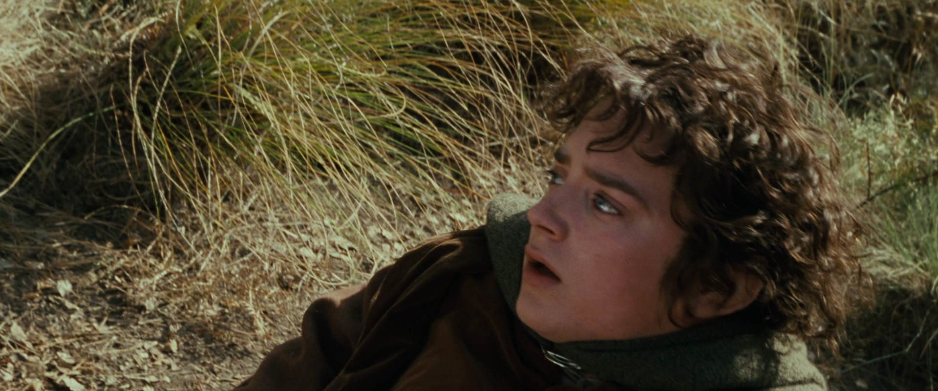 The Lord of the Rings: The Fellowship of the Ring (2001) movie still 21676
