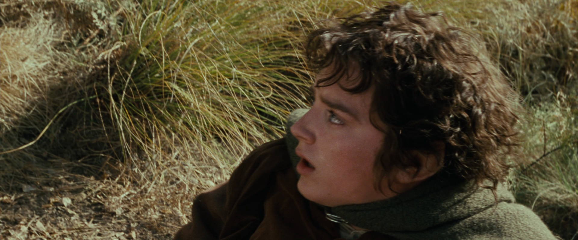 The Lord of the Rings: The Fellowship of the Ring (2001) HD screenshot 21677