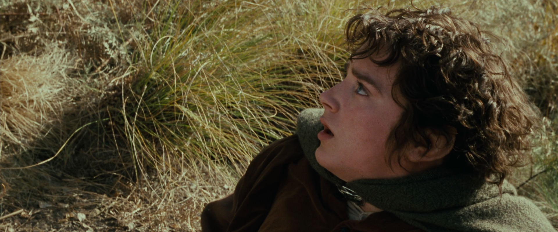 The Lord of the Rings: The Fellowship of the Ring (2001) screencap 21678