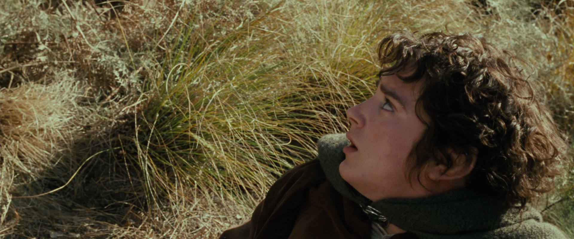 The Lord of the Rings: The Fellowship of the Ring (2001) movie still 21679