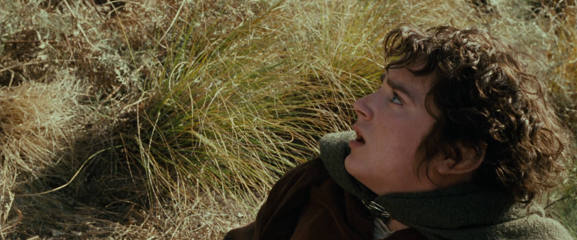 The Lord of the Rings: The Fellowship of the Ring (2001) HD screenshot 21680