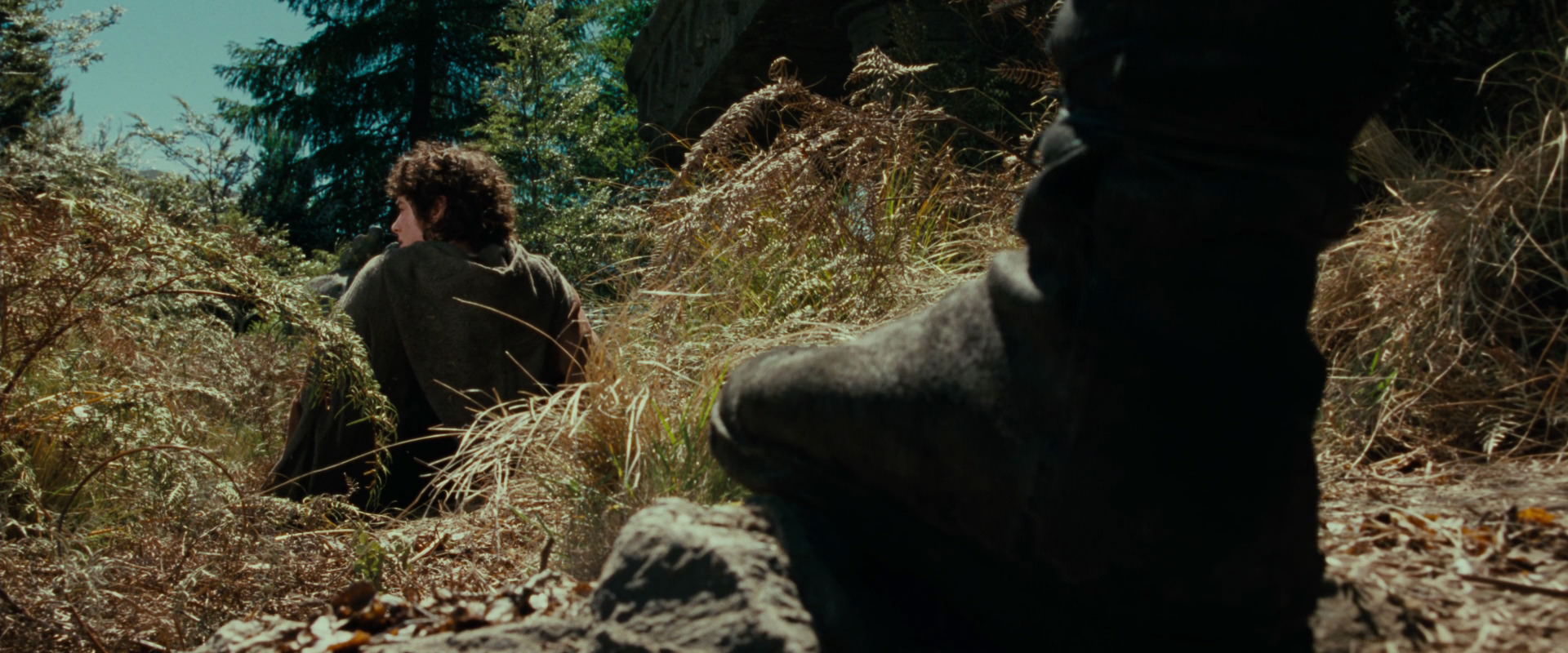 The Lord of the Rings: The Fellowship of the Ring (2001) HD screenshot 21692