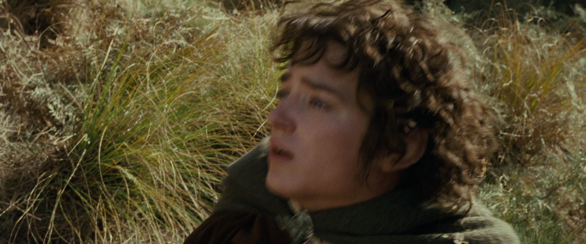 The Lord of the Rings: The Fellowship of the Ring (2001) screencap 21693