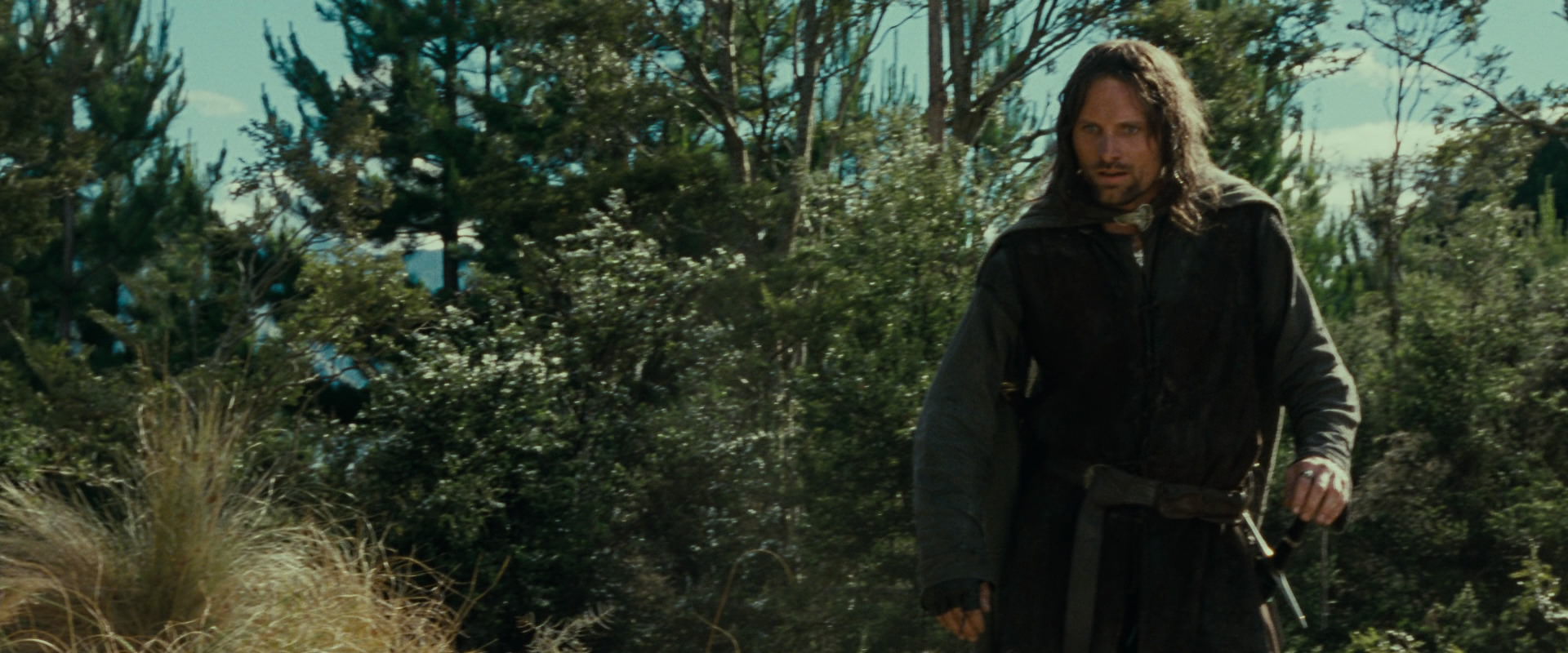 The Lord of the Rings: The Fellowship of the Ring (2001) HD screenshot 21695