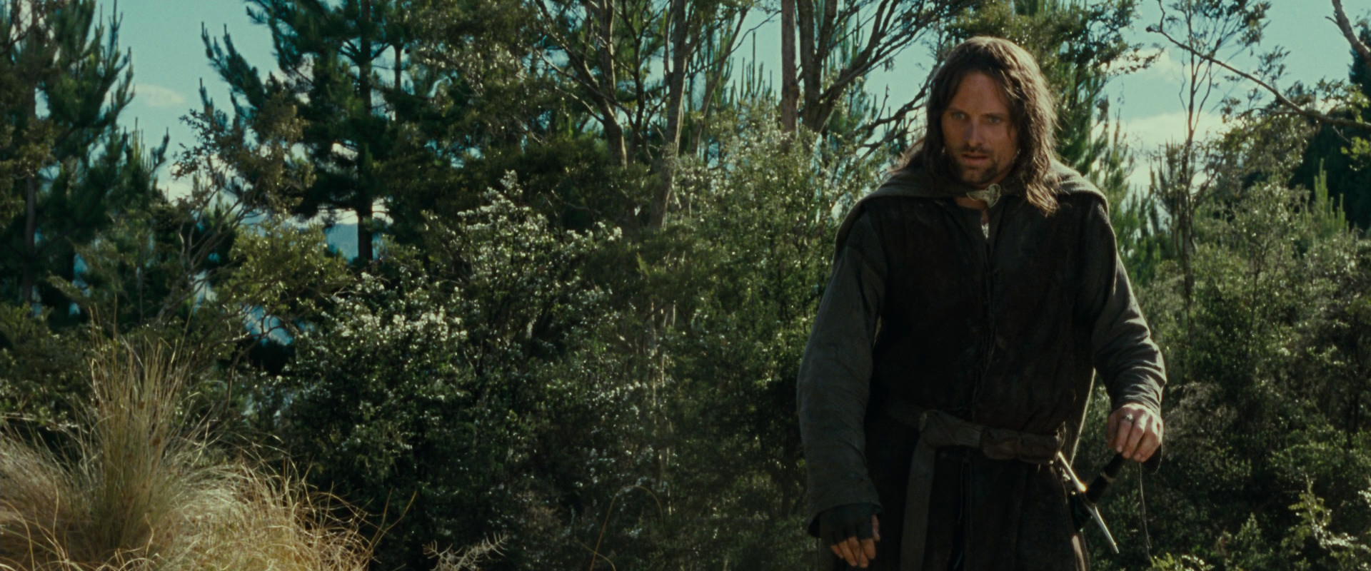 The Lord of the Rings: The Fellowship of the Ring (2001) screencap 21696