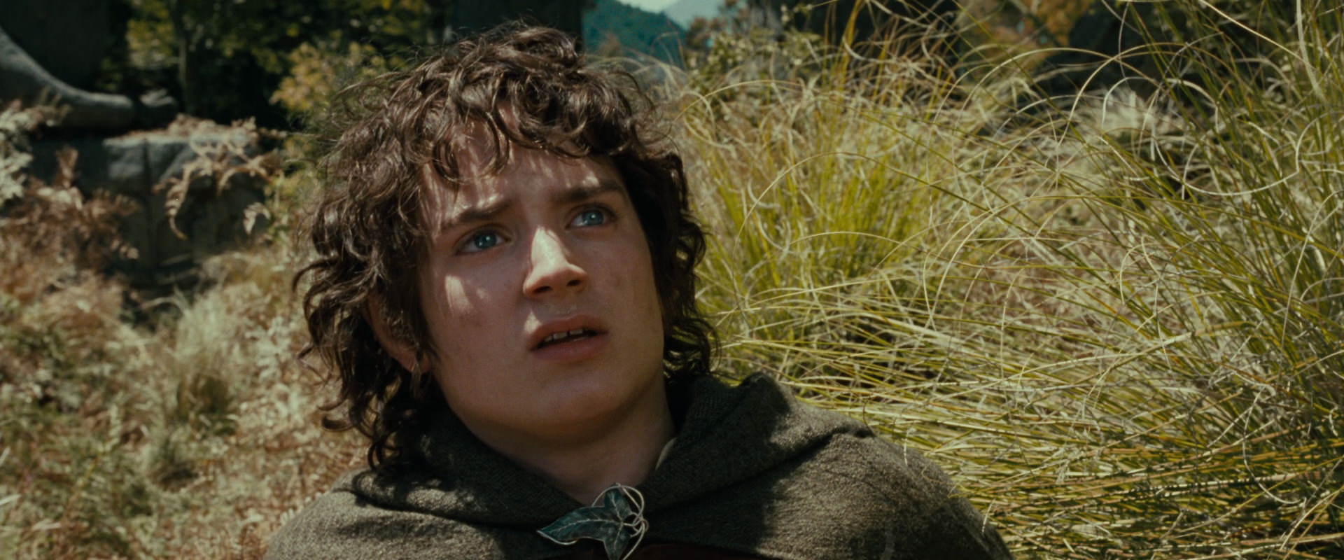 The Lord of the Rings: The Fellowship of the Ring (2001) movie still 21697