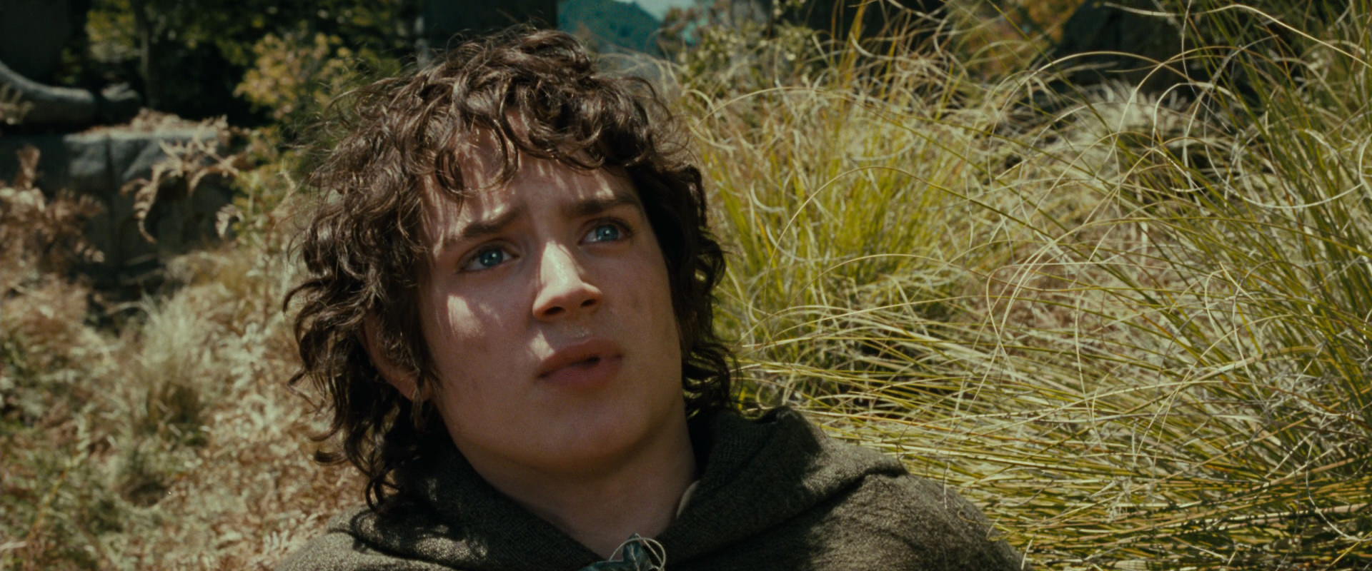 The Lord of the Rings: The Fellowship of the Ring (2001) screencap 21699