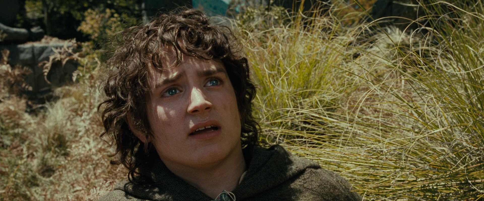 The Lord of the Rings: The Fellowship of the Ring (2001) movie still 21700