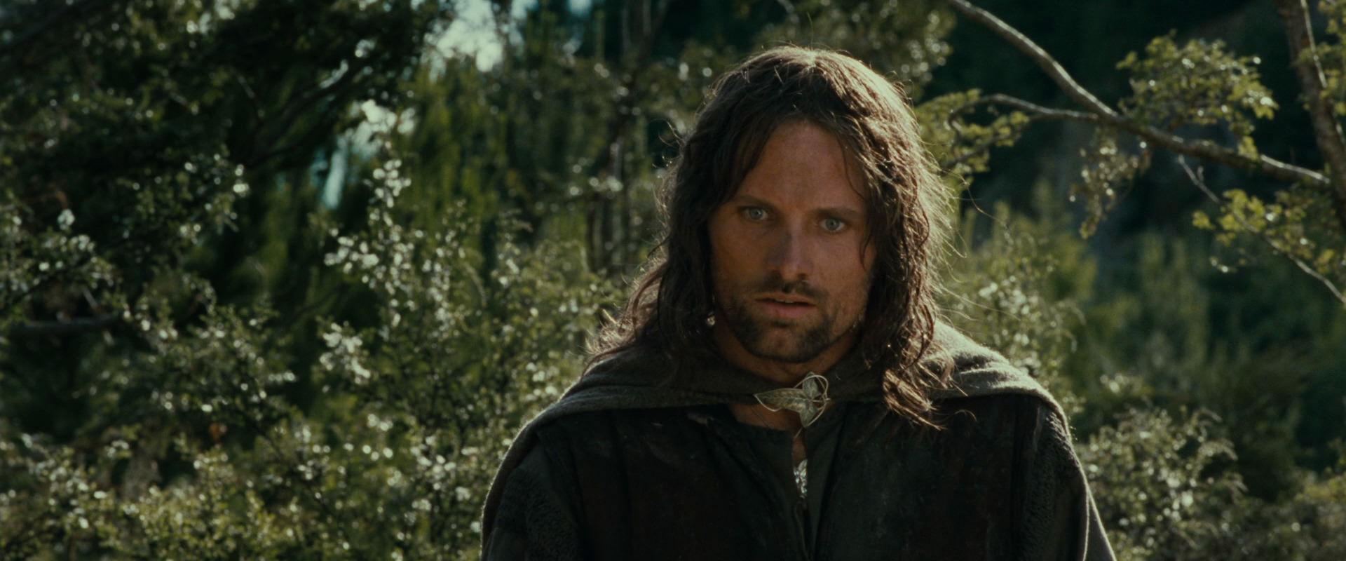 The Lord of the Rings: The Fellowship of the Ring (2001) HD screenshot 21701