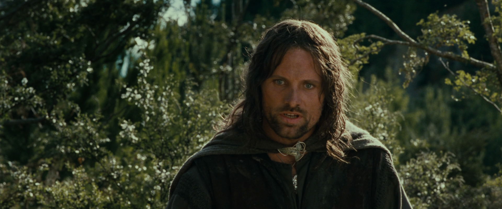 The Lord of the Rings: The Fellowship of the Ring (2001) screencap 21702