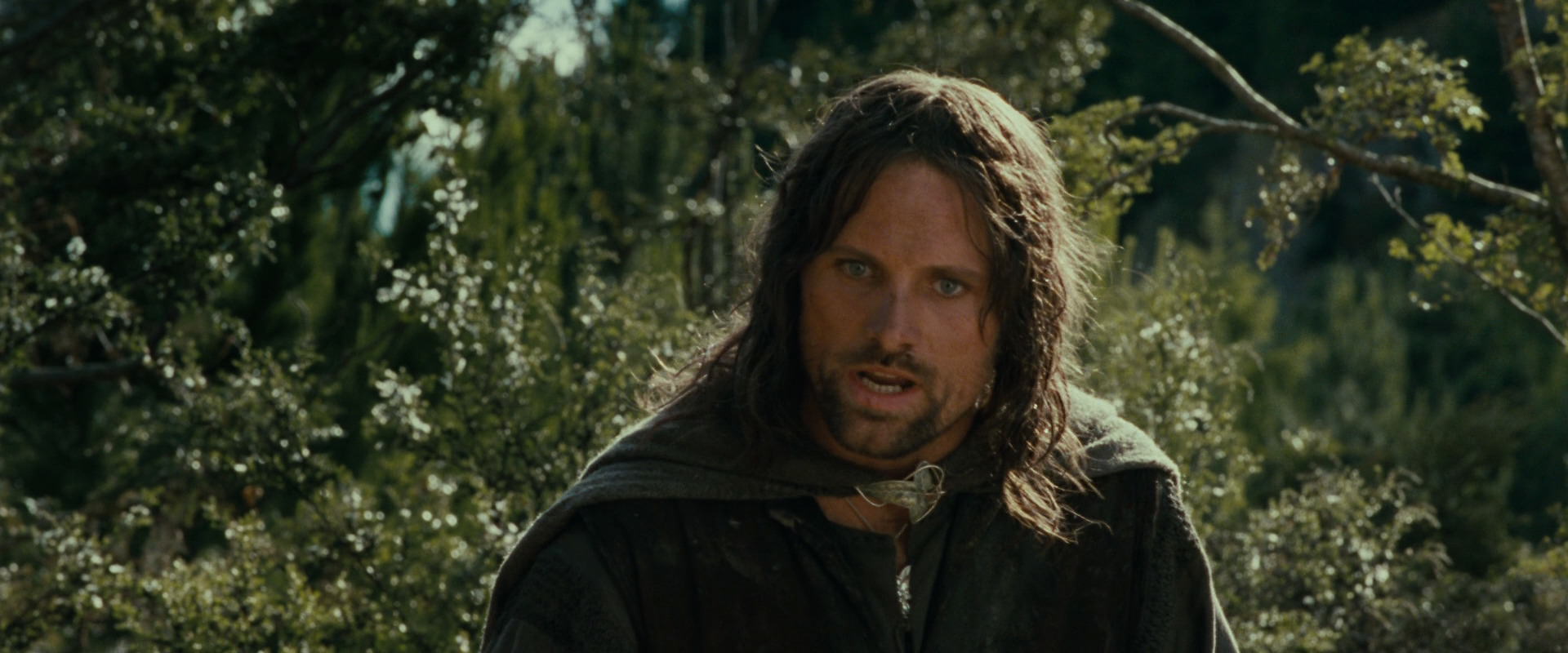 The Lord of the Rings: The Fellowship of the Ring (2001) movie still 21703