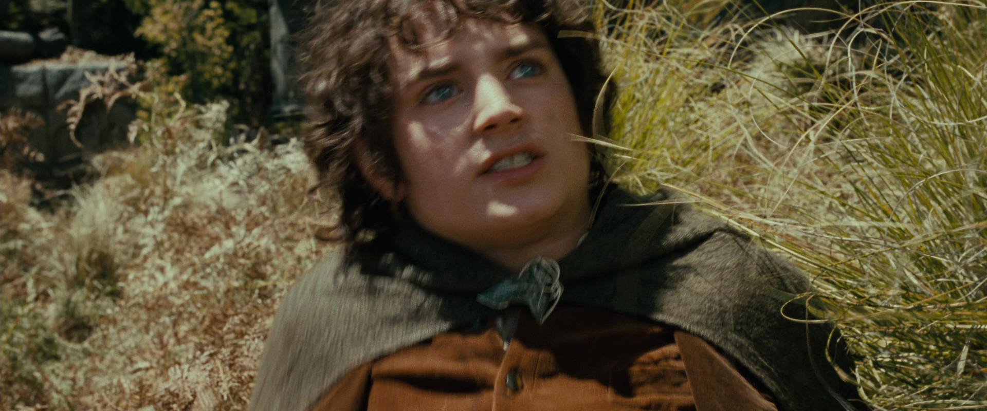 The Lord of the Rings: The Fellowship of the Ring (2001) HD screenshot 21704