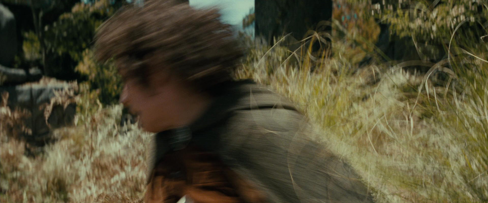 The Lord of the Rings: The Fellowship of the Ring (2001) screencap 21705