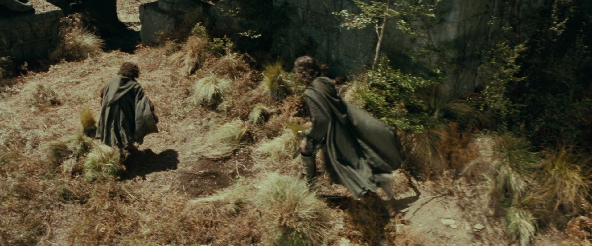 The Lord of the Rings: The Fellowship of the Ring (2001) screencap 21708