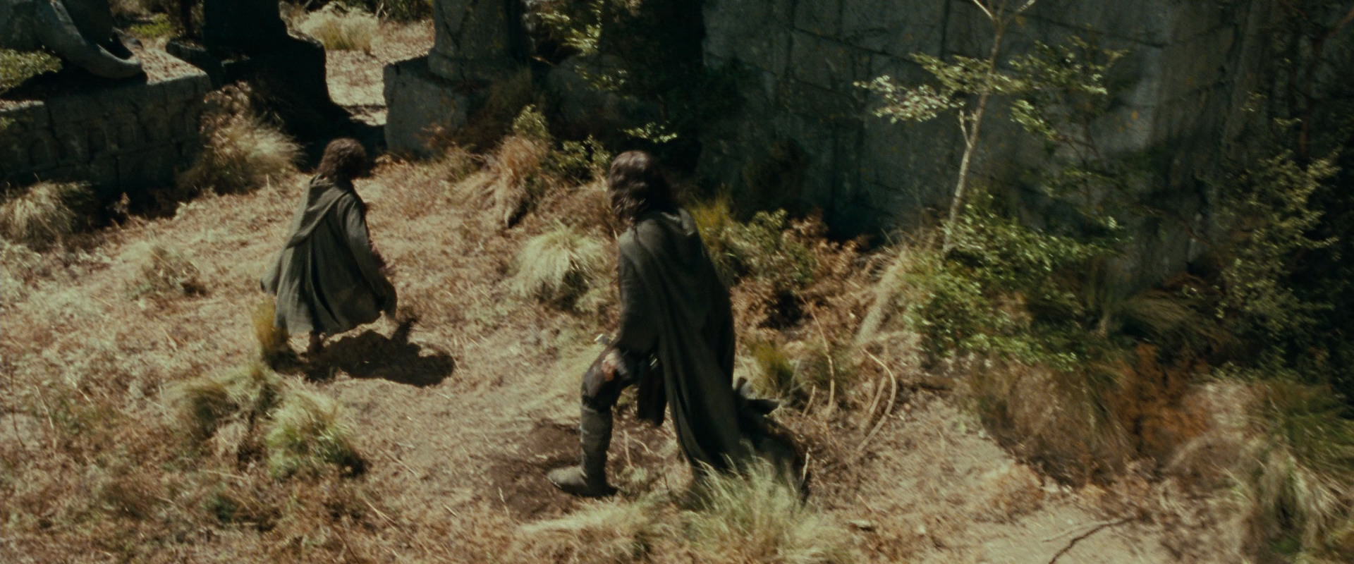 The Lord of the Rings: The Fellowship of the Ring (2001) movie still 21709
