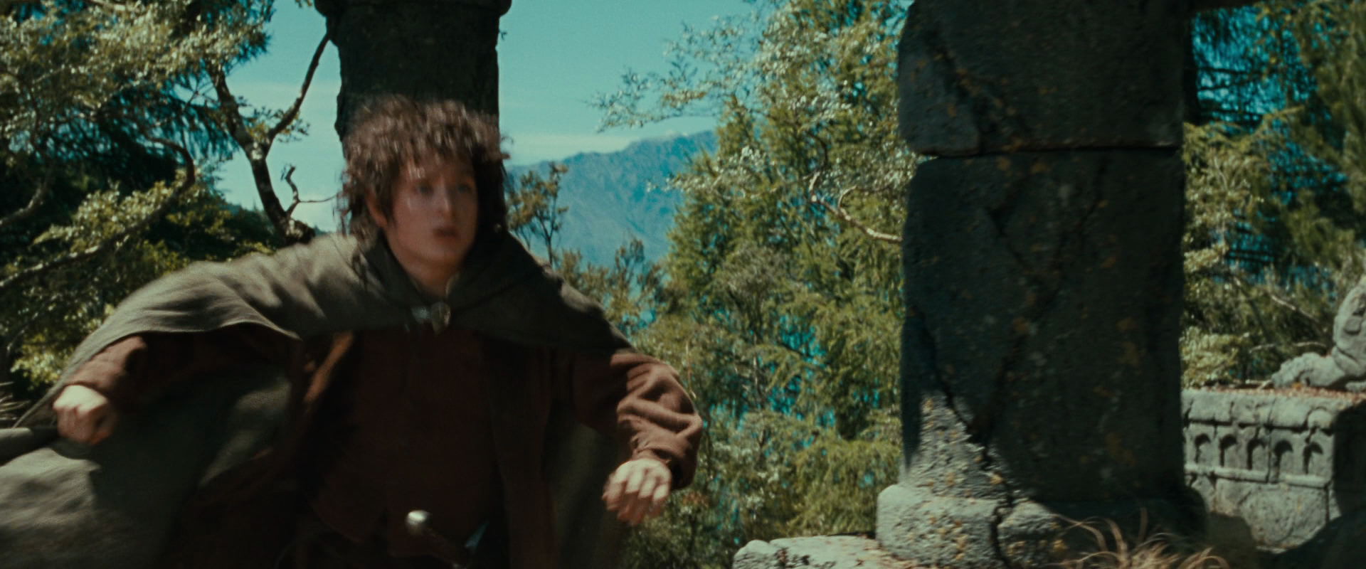 The Lord of the Rings: The Fellowship of the Ring (2001) screencap 21711