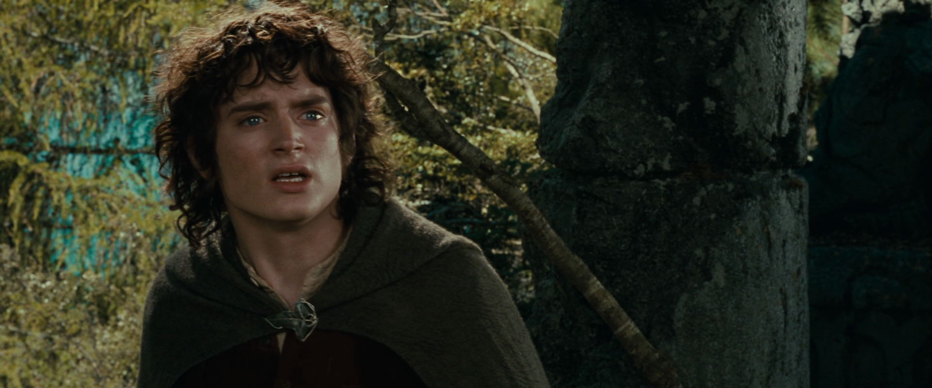 The Lord of the Rings: The Fellowship of the Ring (2001) screencap 21720