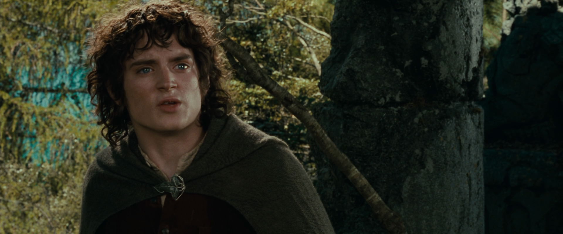 The Lord of the Rings: The Fellowship of the Ring (2001) movie still 21721