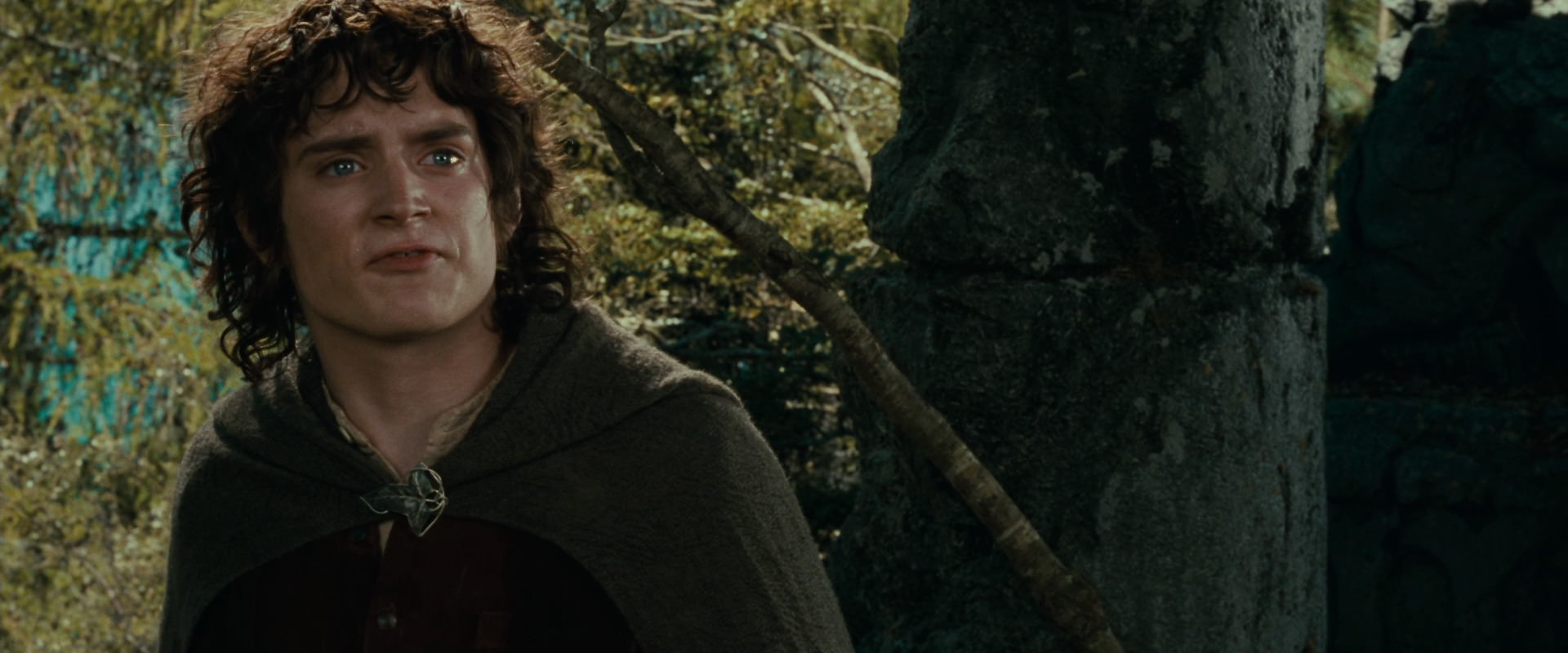 The Lord of the Rings: The Fellowship of the Ring (2001) HD screenshot 21722