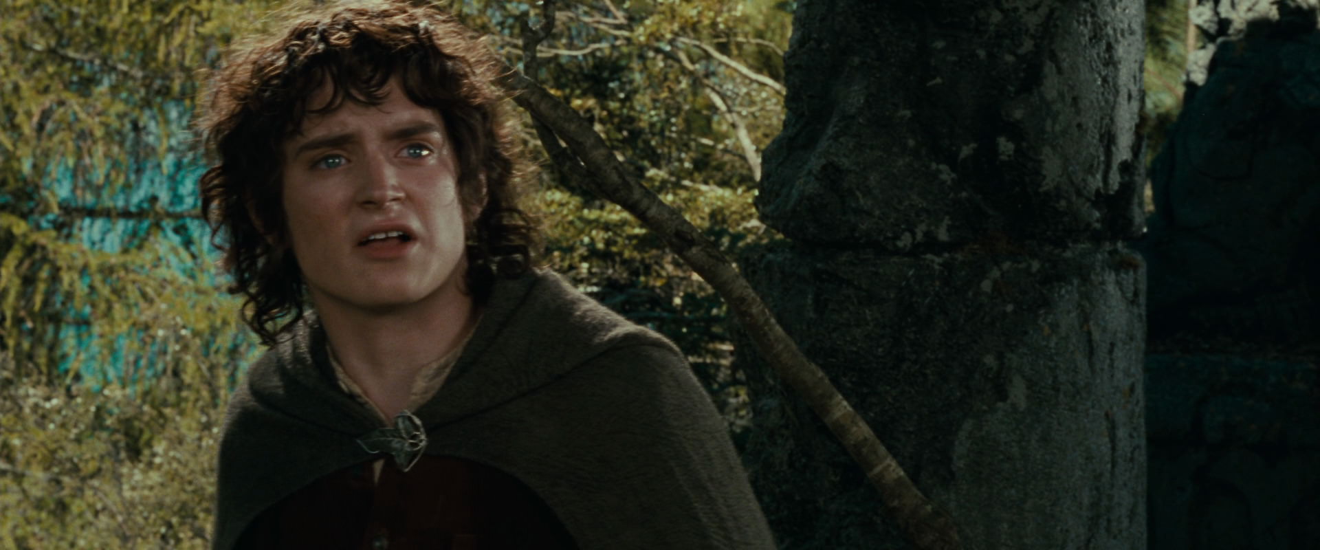 The Lord of the Rings: The Fellowship of the Ring (2001) screencap 21723