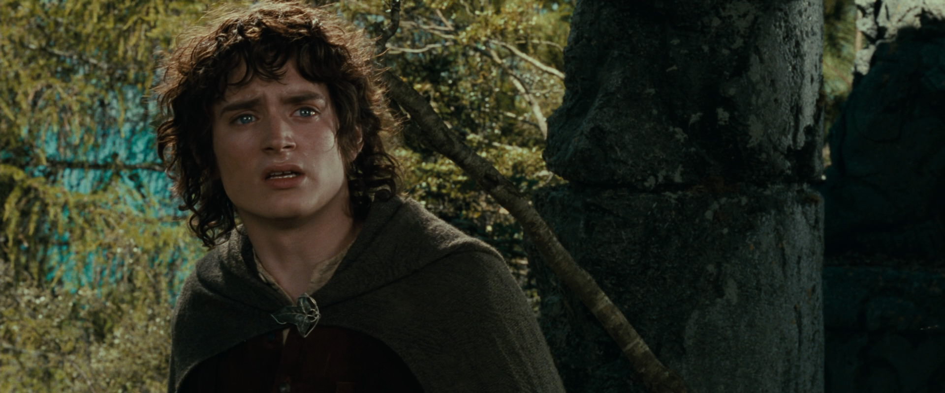 The Lord of the Rings: The Fellowship of the Ring (2001) HD screenshot 21728