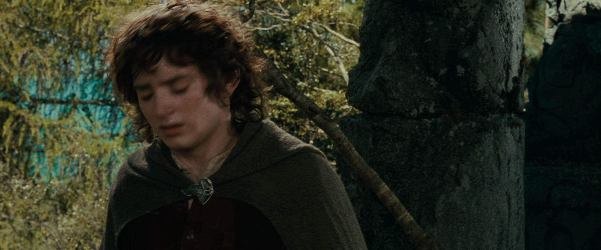 The Lord of the Rings: The Fellowship of the Ring (2001) screencap 21729