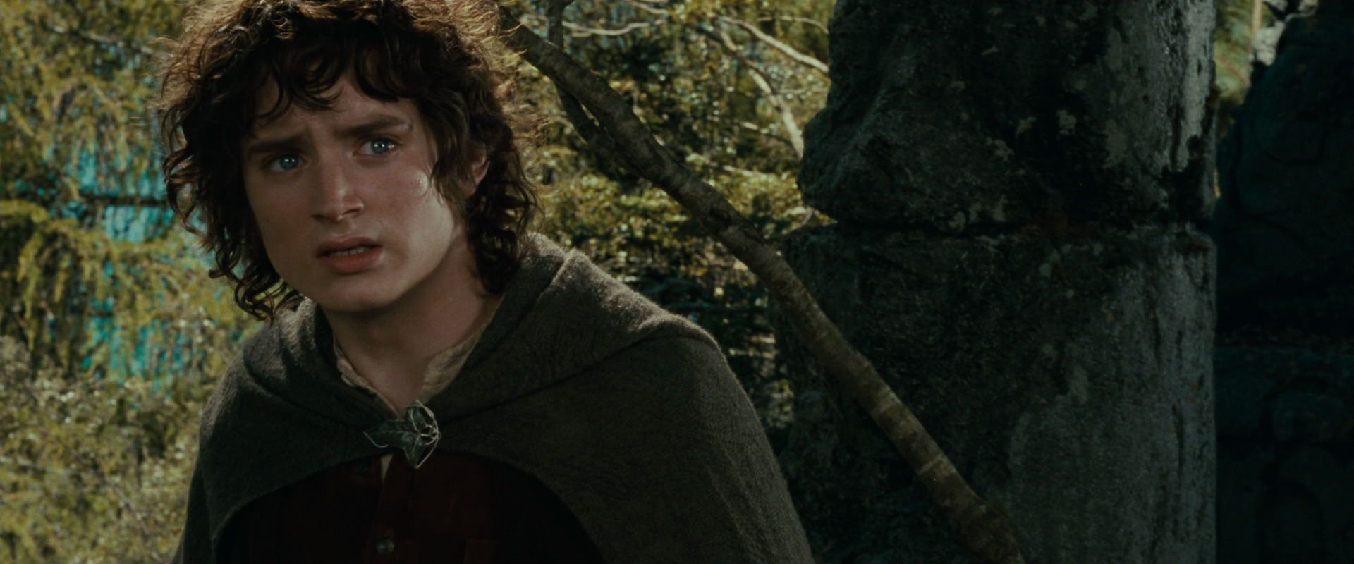 The Lord of the Rings: The Fellowship of the Ring (2001) HD screenshot 21740