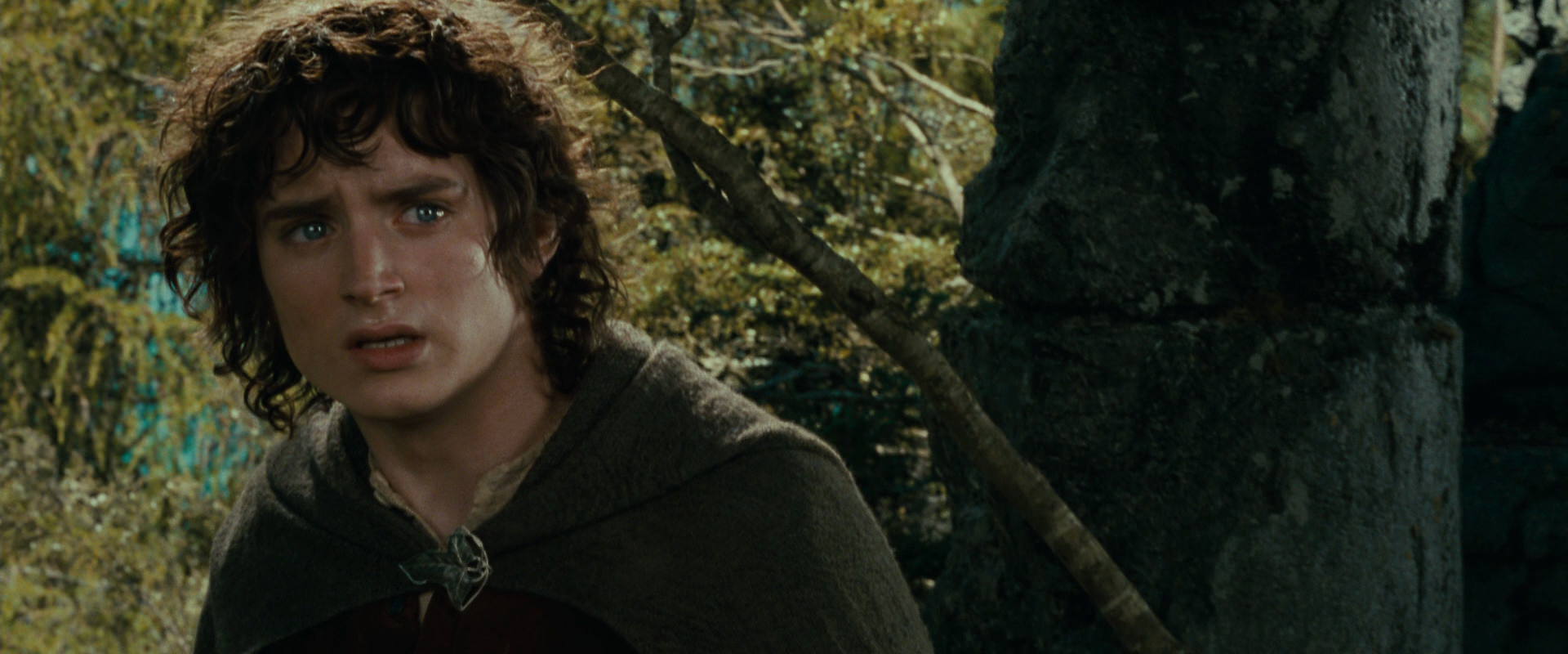 The Lord of the Rings: The Fellowship of the Ring (2001) screencap 21741