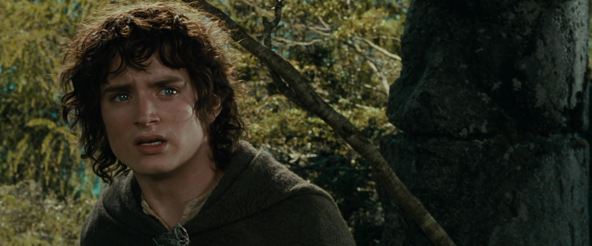The Lord of the Rings: The Fellowship of the Ring (2001) movie still 21742