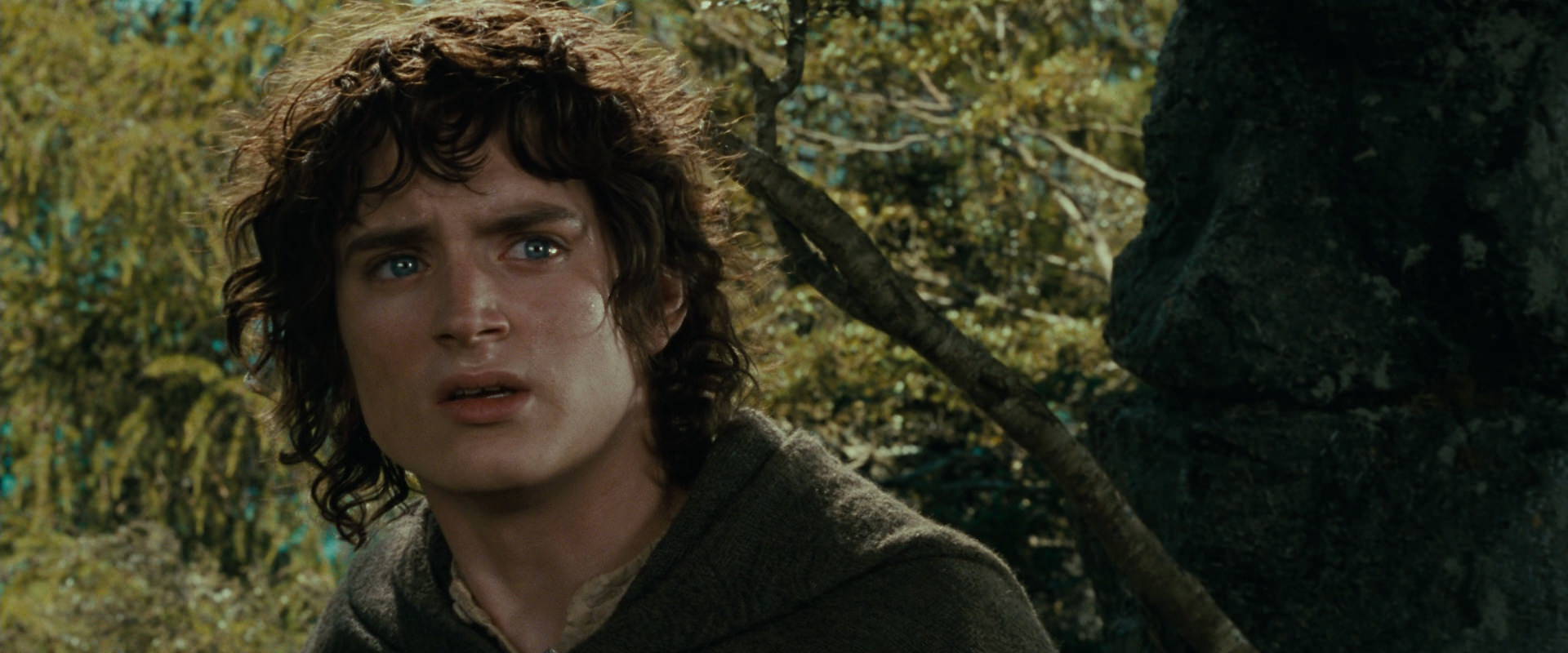 The Lord of the Rings: The Fellowship of the Ring (2001) HD screenshot 21743