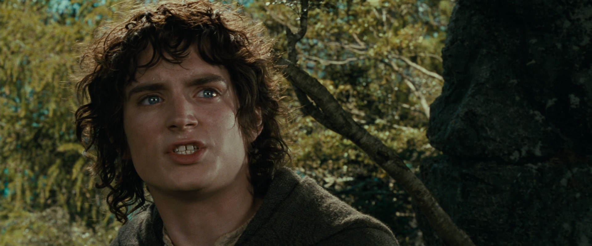 The Lord of the Rings: The Fellowship of the Ring (2001) screencap 21744