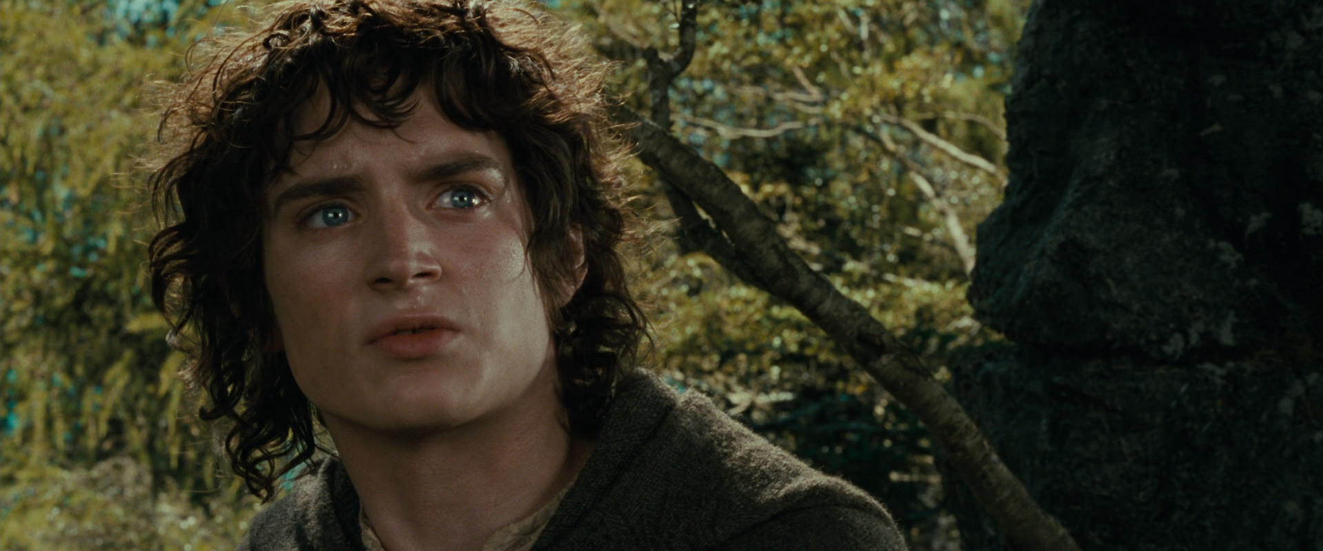 The Lord of the Rings: The Fellowship of the Ring (2001) movie still 21745