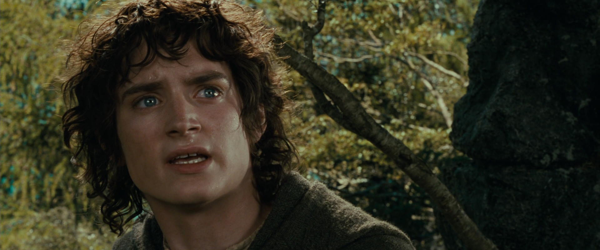The Lord of the Rings: The Fellowship of the Ring (2001) HD screenshot 21746