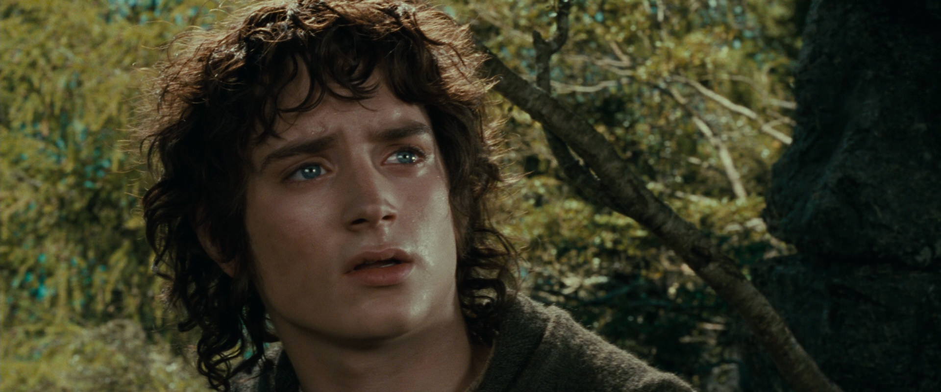 The Lord of the Rings: The Fellowship of the Ring (2001) screencap 21765